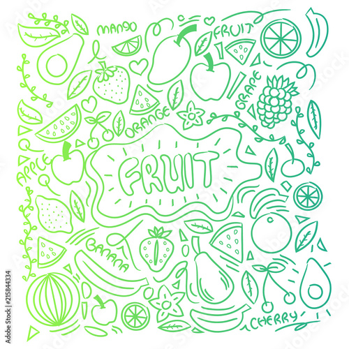 Collection of cartoon juicy fruits and berry. Vector illustration. Set of colorful fruit and berries. Fruit hand drawn in doodle style.