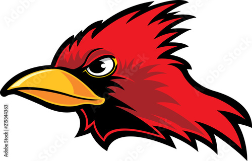 Cardinal
