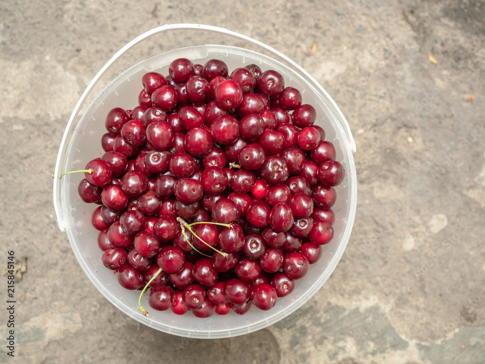 Top view on white bucket full of red cherry. Red berries in white hand bucket, close up. Plastic bucket with cherry against the background of grey floor. Blurred background. Soft selective focus Top view on white bucket full of red cherry. Red berries in white hand bucket, close up. Plastic bucket with cherry against the background of grey floor. Blurred background. Soft selective focus