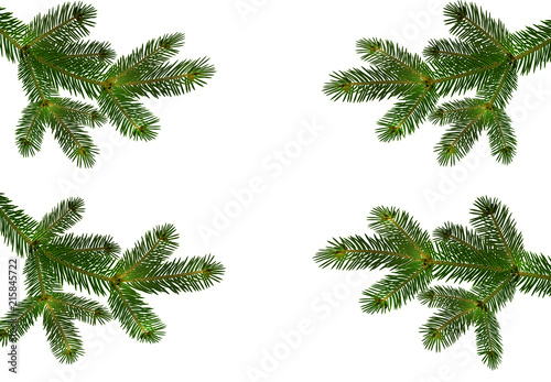 Four green realistic branches of fir or pine close-up with cones. branched out. Isolated on white background. illustration