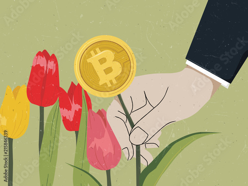 Businessman hand picking Bitcoin in tulip garden, Bitcoin and Tulipmania/ tulip bubble comparison