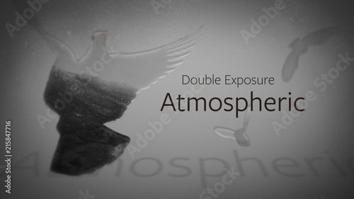 Double Exposure Animal Titles