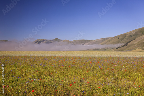 Fototapeta Naklejka Na Ścianę i Meble -  A magnificent sunrise in Castelluccio di Norcia. expecting more to the thousand colours of flowering
