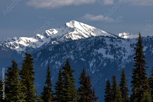 Olympic Mountain Snow Capped Peak