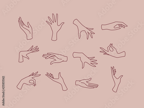 Flat hand pink brown
