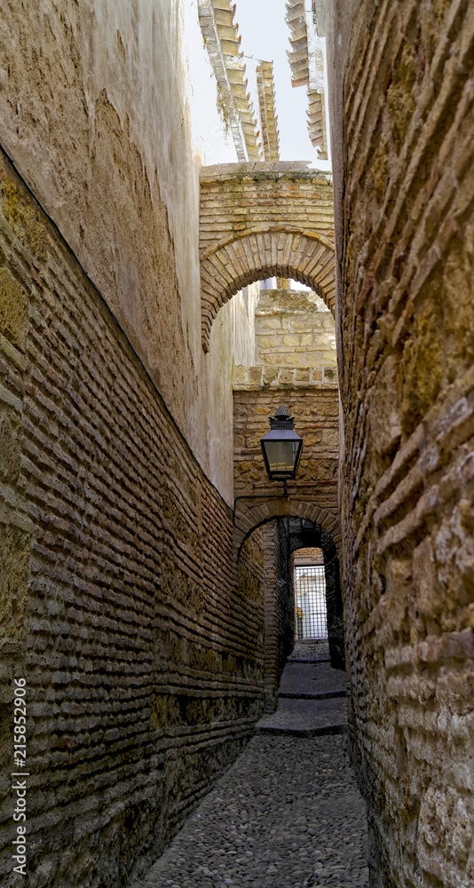 Alley with stone houses of Cordoba, Spain - Italy