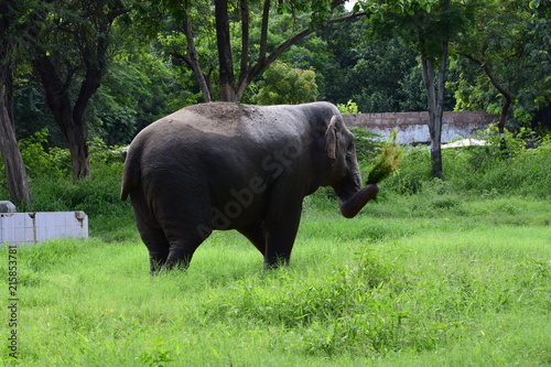 National Zoological Park