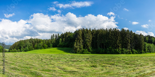 Germany  XXL black forest panorama with mowed field