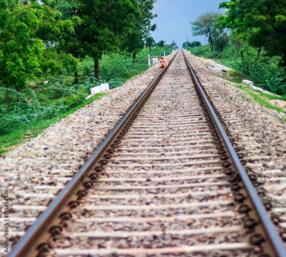 Railway track with trees on both the sides Railway track with trees on both the sides