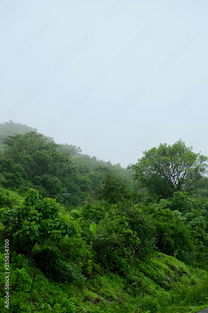 lush green landscape of mountain and hills in monsoon season, Purandar, Maharashtra, India