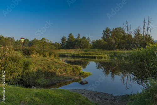 Tepla Vltava river in summer morning