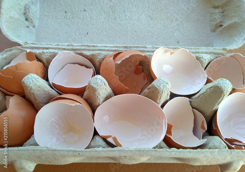 shell from eggs. cells. the broken eggs.