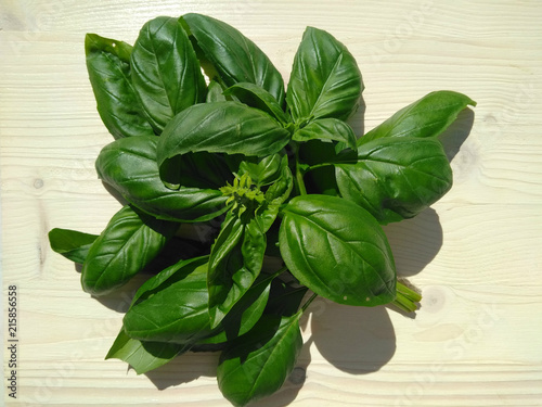 green basil. spices. seasonings. food. ingredient.