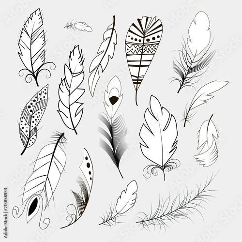 Tribal feather bird nature wing element vector graphic illustration hand drawn style.