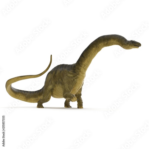 Apatosaurus Dinosaur on white. 3D illustration © 2dmolier