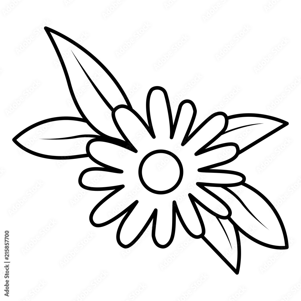 beautiful flower and leafs garden vector illustration design