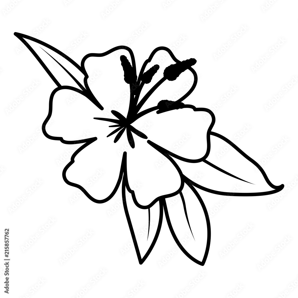 beautiful flower and leafs garden vector illustration design beautiful flower and leafs garden vector illustration design
