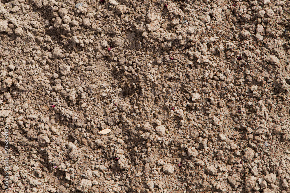close up clay soil