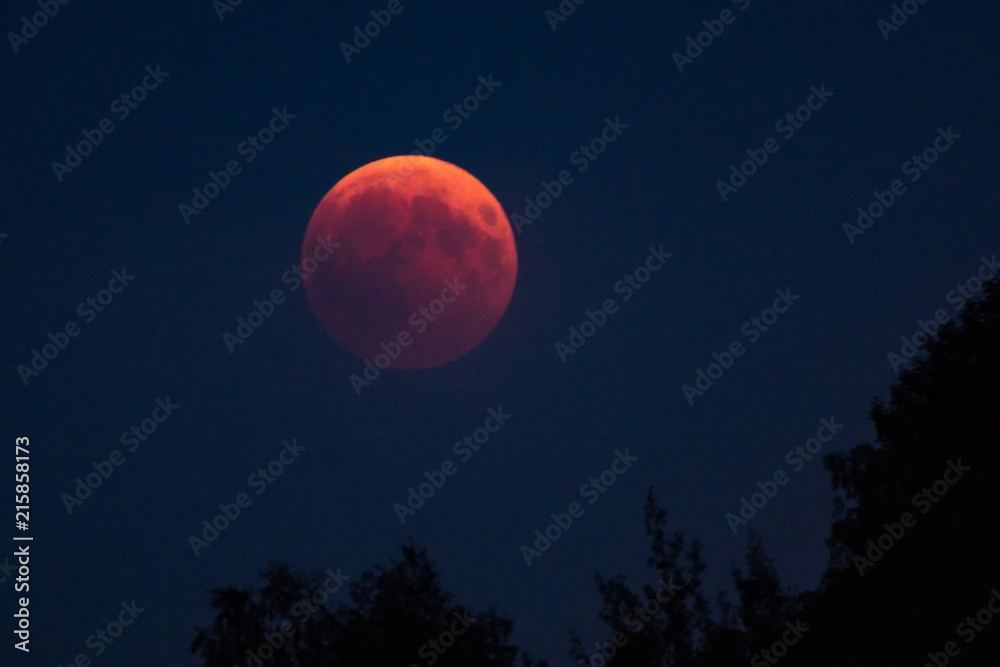 lunar eclipse - blood moon - moon - eclipse - lunar - obrazy, fototapety, plakaty 