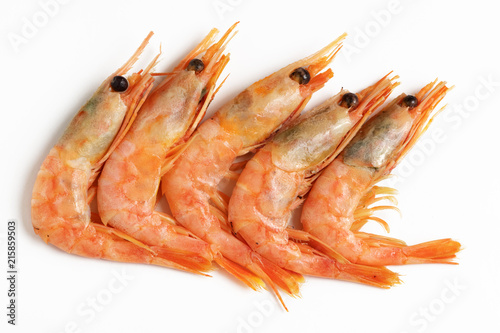 shrimp isolated on white background. top view