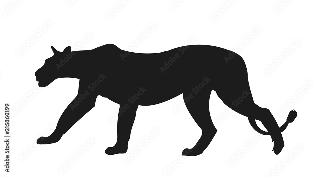 lioness silhouette, vector,