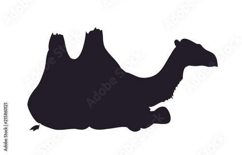 camel silhouette vector