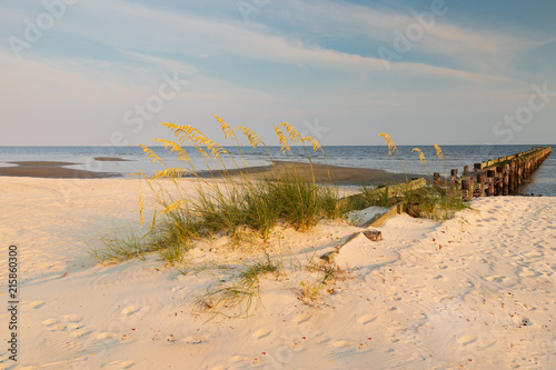  Sea oats on the beach with old wooden pier and ocean in background at sunset