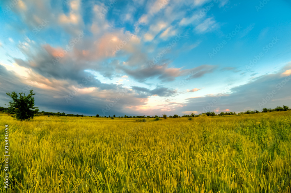 spring in the steppe