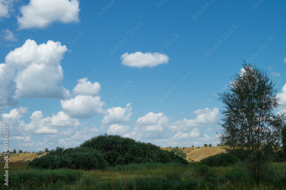Cloudy summer sky over the meadow hilly valley of the reserved places of Russia. Landscape trees and grass