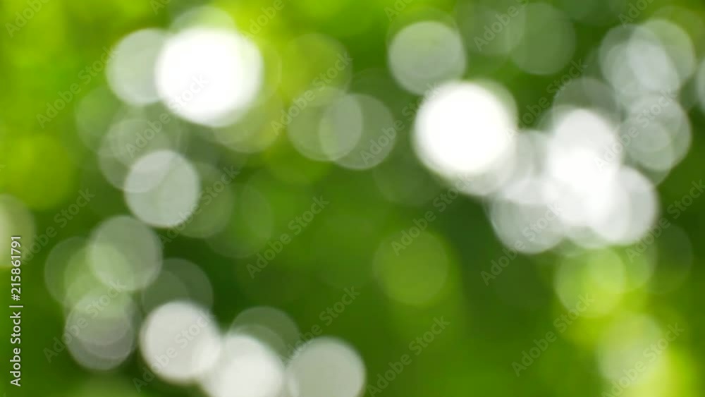 Green bokeh blured nature abstract background