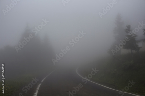 Road and trees in fog. The image is captured in the mountain called Sis of Trabzon city located in Black Sea region of Turkey.
