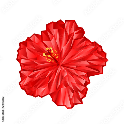 Hibiscus pink flower  polygons vector