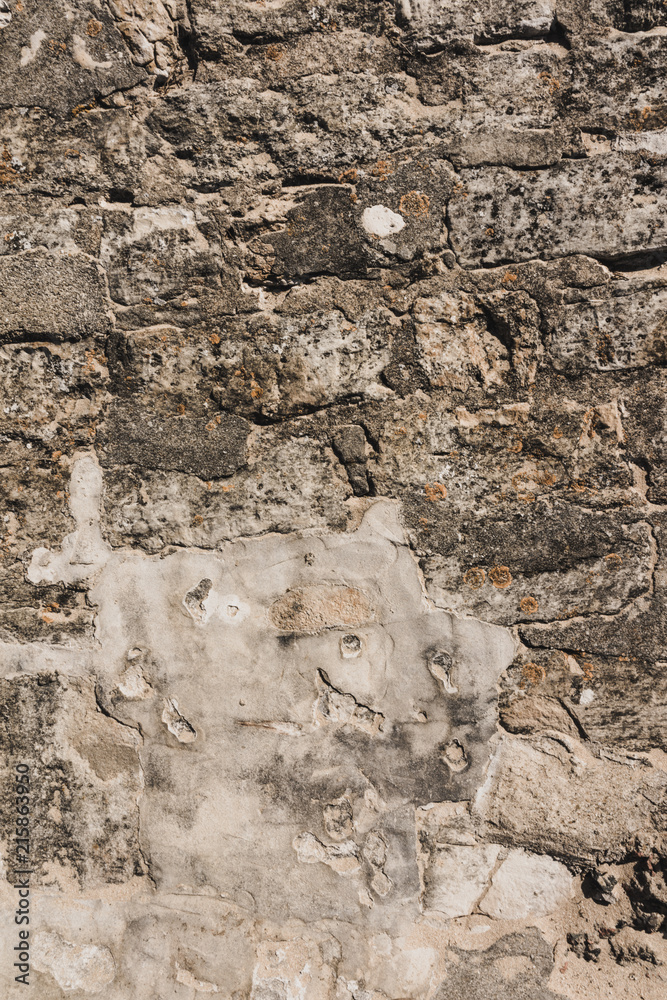 Fototapeta premium Old brick wall textures