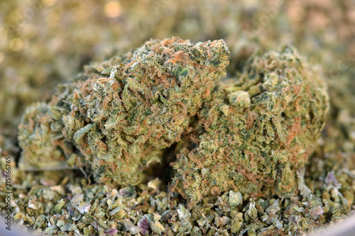 MK Ultra Dried Cannabis 04