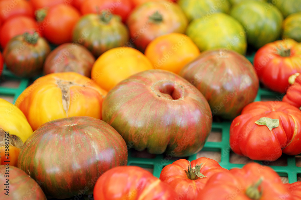 Assorted organic heirloom tomatoes at the farmer's market.
Assorted organic heirloom tomatoes at the farmer's market.