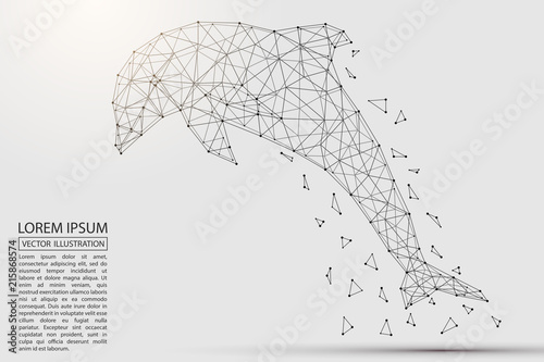 Abstract Dolphin consisting of 3D triangles, lines, points and links. Vector illustration of EPS 10.