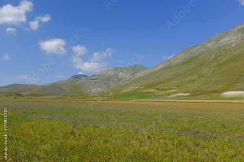 Castelluccio di Norcia    Umbria  Italy   . Landscape  in the highland of Sibillini Mountains  central Italy