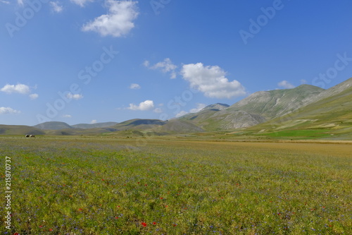 Castelluccio di Norcia    Umbria  Italy   . Landscape  in the highland of Sibillini Mountains  central Italy