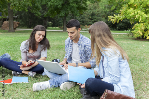 Group of friends studying together in a park