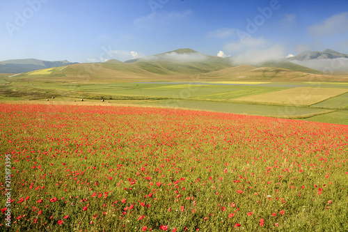 A magnificent sunrise in Castelluccio di Norcia. expecting more to the thousand colours of flowering 