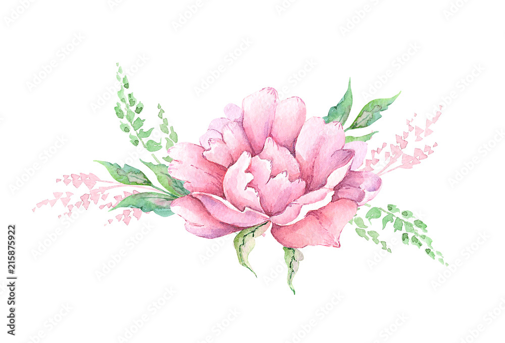 watercolor drawing bouquets flowers peonies with decorative elements