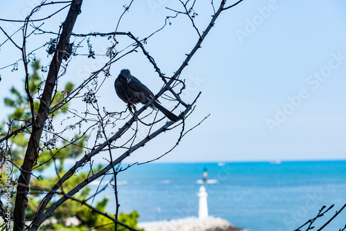 nature in busan