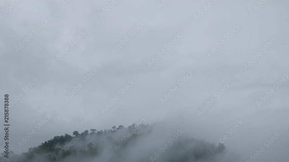 Fog and cloud covering the mountain forests in a nature reserve.
