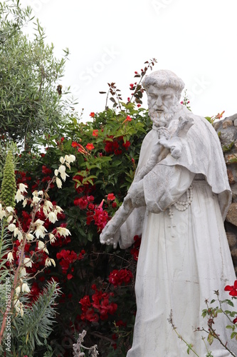 A Statue of Saint Francis of Assisi in the Gardens of the Carmel Mission Basilica in Carmel, California which was originally in Venice, Italy. photo
