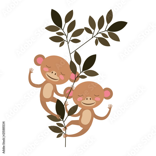 wild monkeys couple in the jungle vector illustration design