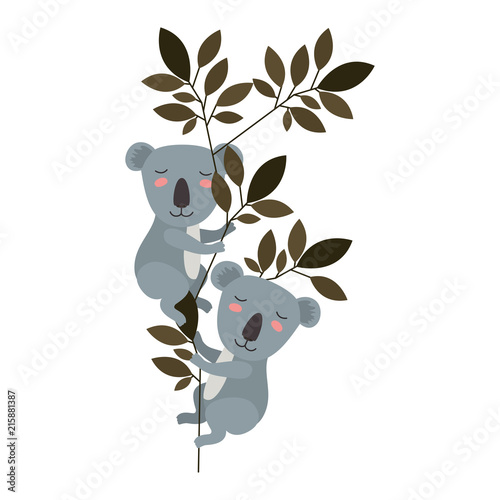 Photography wild koalas couple in the jungle vector illustration design