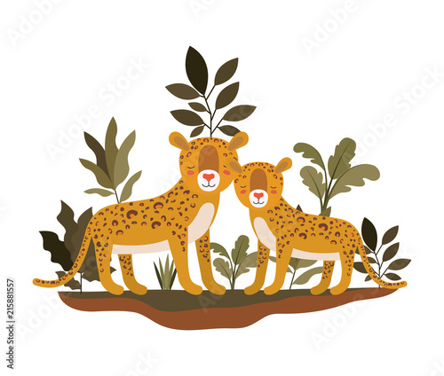 wild cheetahs in the jungle vector illustration design