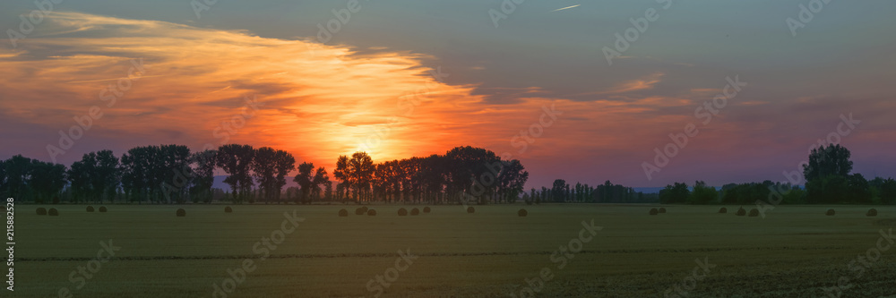 Panorama of the sunset of extraordinary beauty over the forest in the countryside.