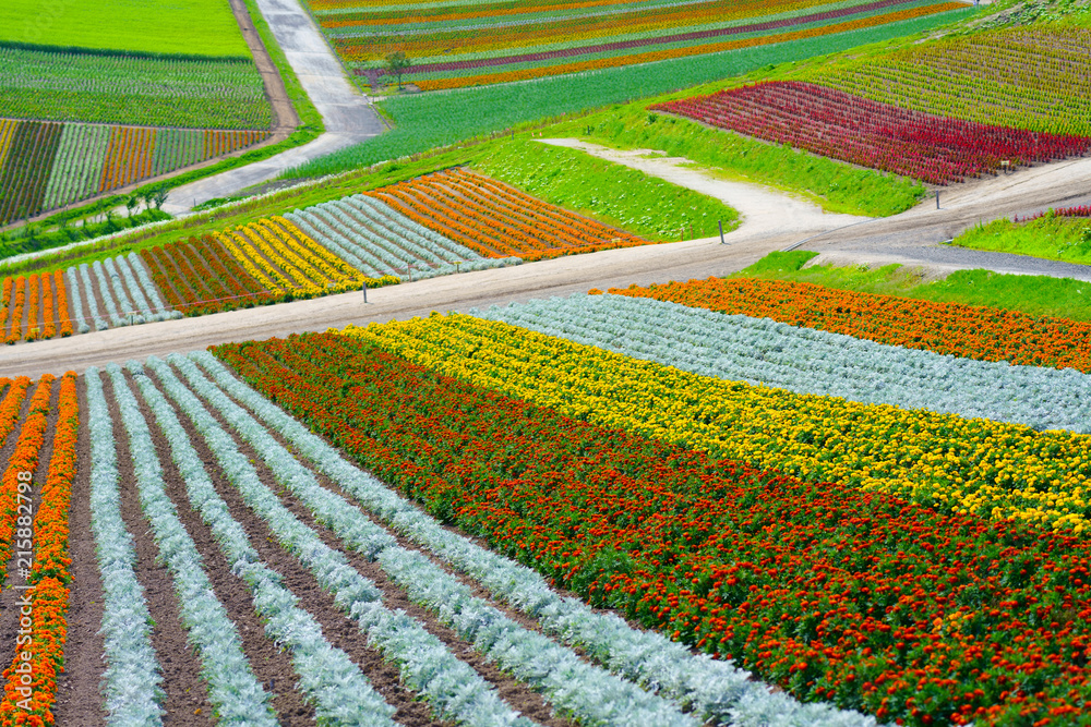 北海道の花畑 Stock Photo Adobe Stock