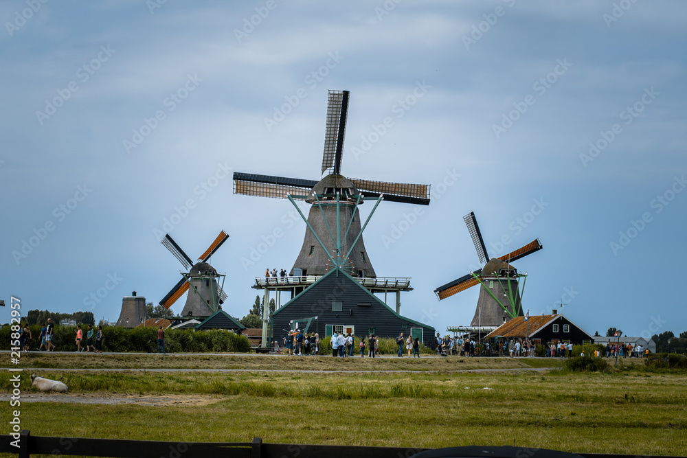 Naklejka premium Windmills - Amsterdam